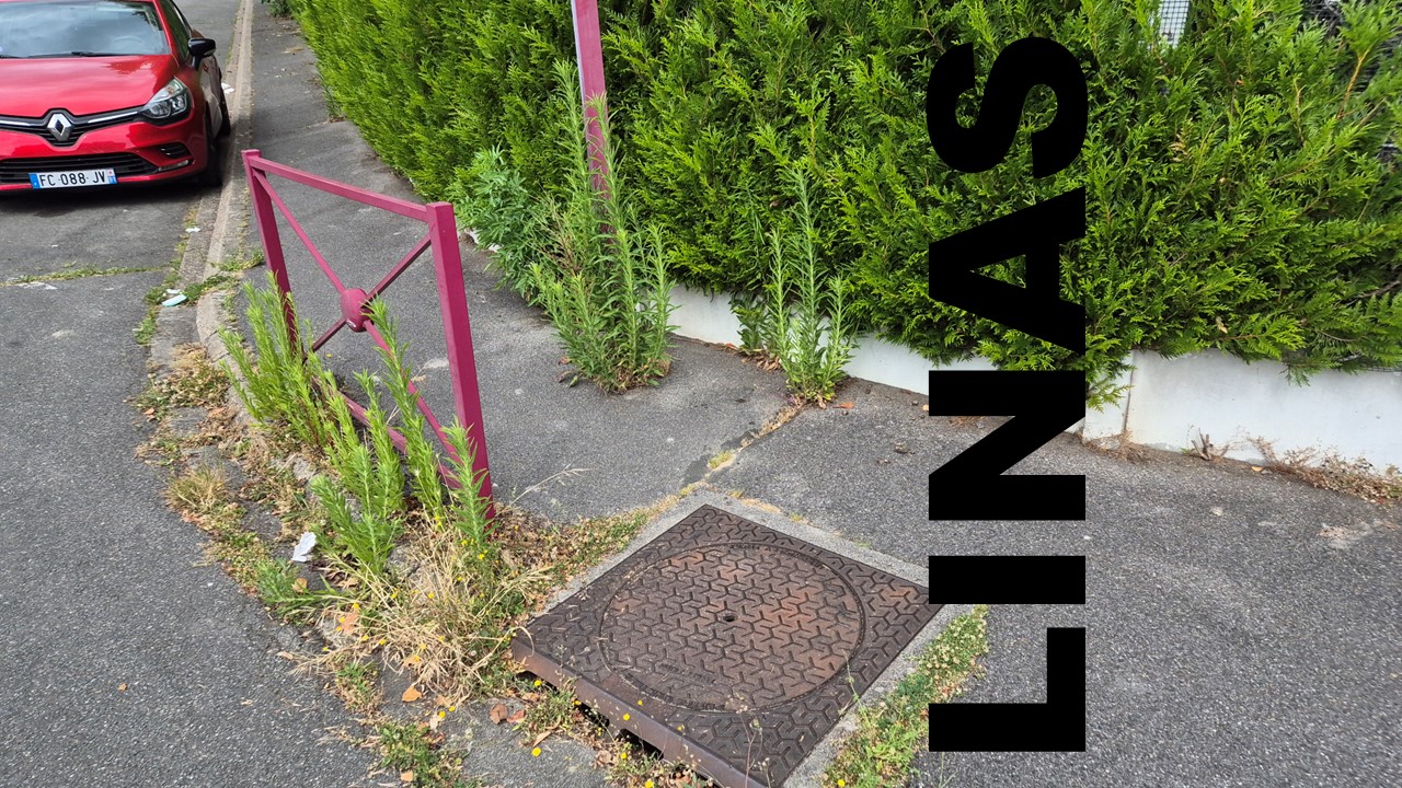 La prolifération des herbes folles à Linas est en train de tout détruire.