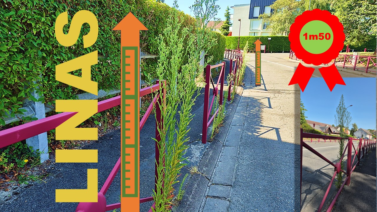Le mauvais entretien de ses rues